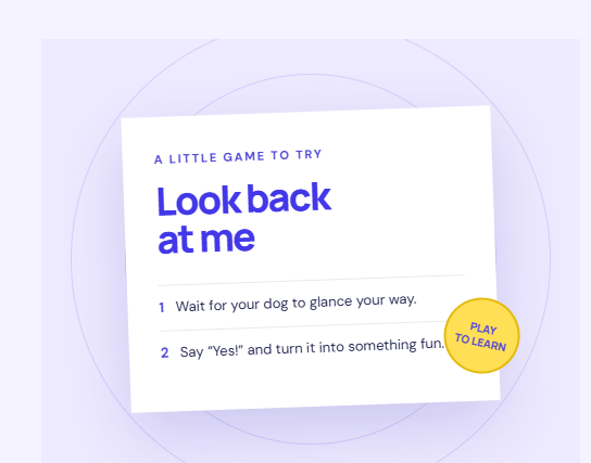 LOOK BACK AT ME GAME