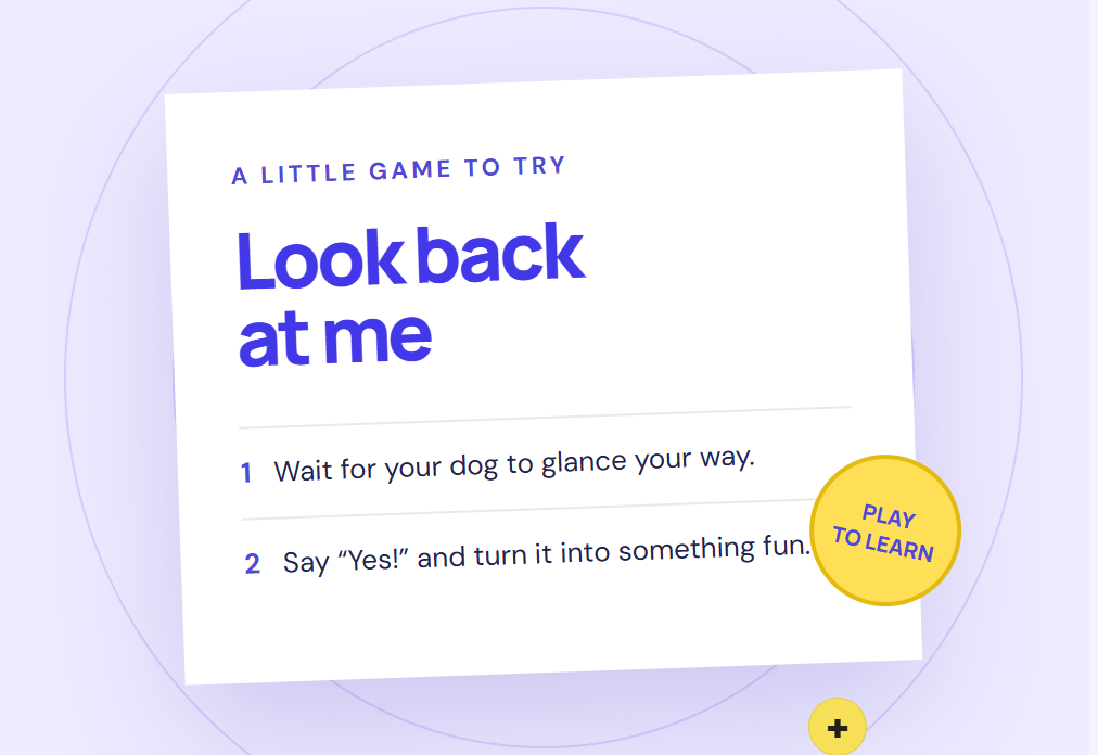 LOOK BACK AT ME GAME