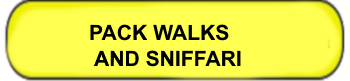 PACK WALKS AND SNIFFARI