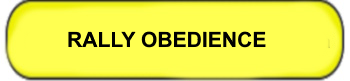 RALLY OBEDIENCE